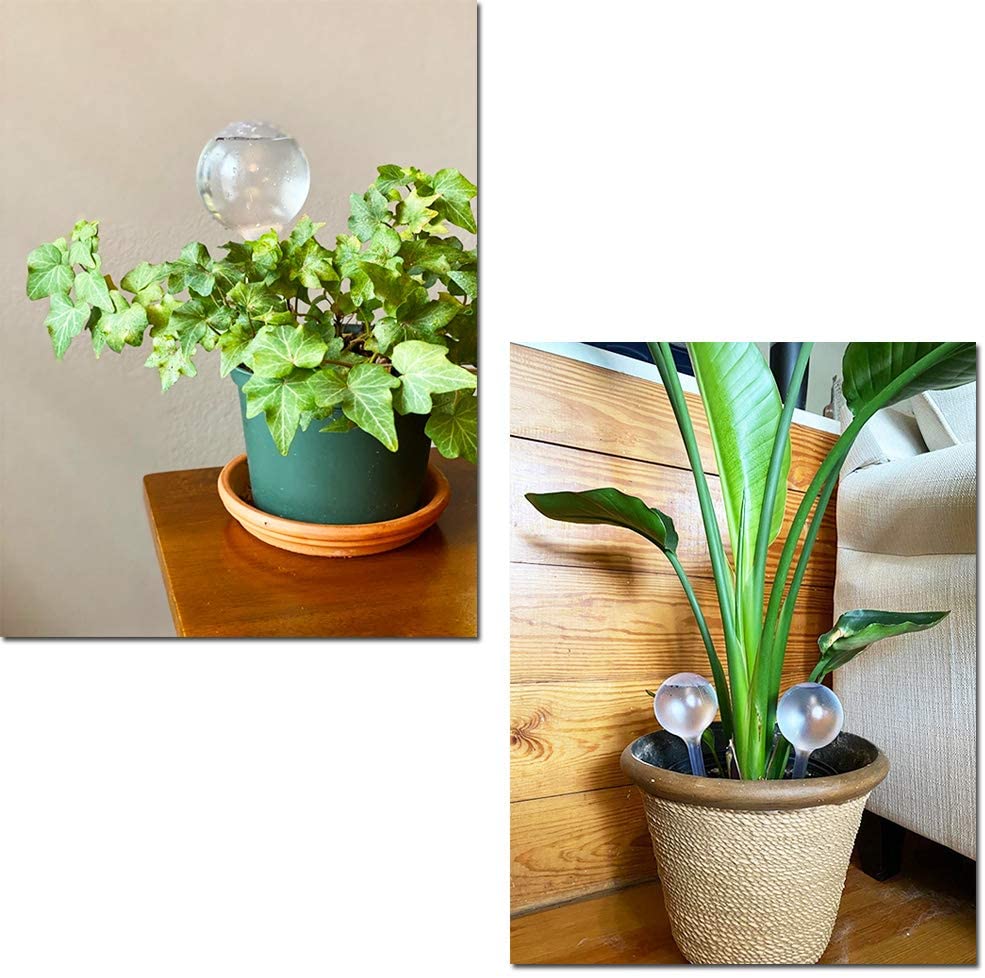 Automatic Plant Water Feeder S - Urban Farming System recensione e prezzo
