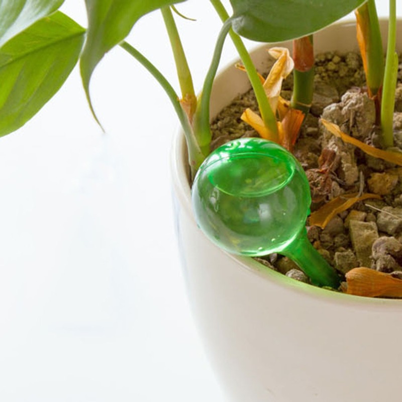 Automatic Plant Water Feeder S - Urban Farming System recensione e prezzo