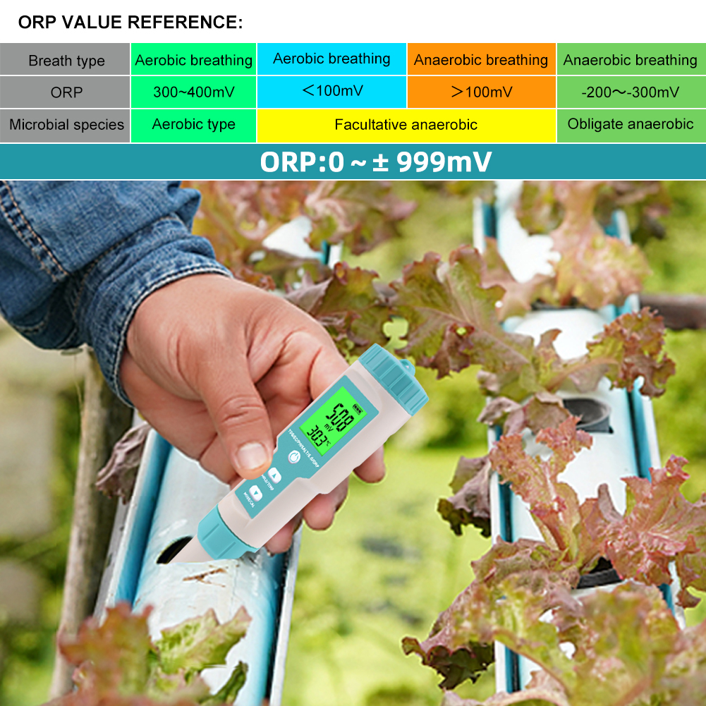 New 7 in 1 PH/TDS/EC/ORP/Salin - Ec Meter Digital recensione e prezzo