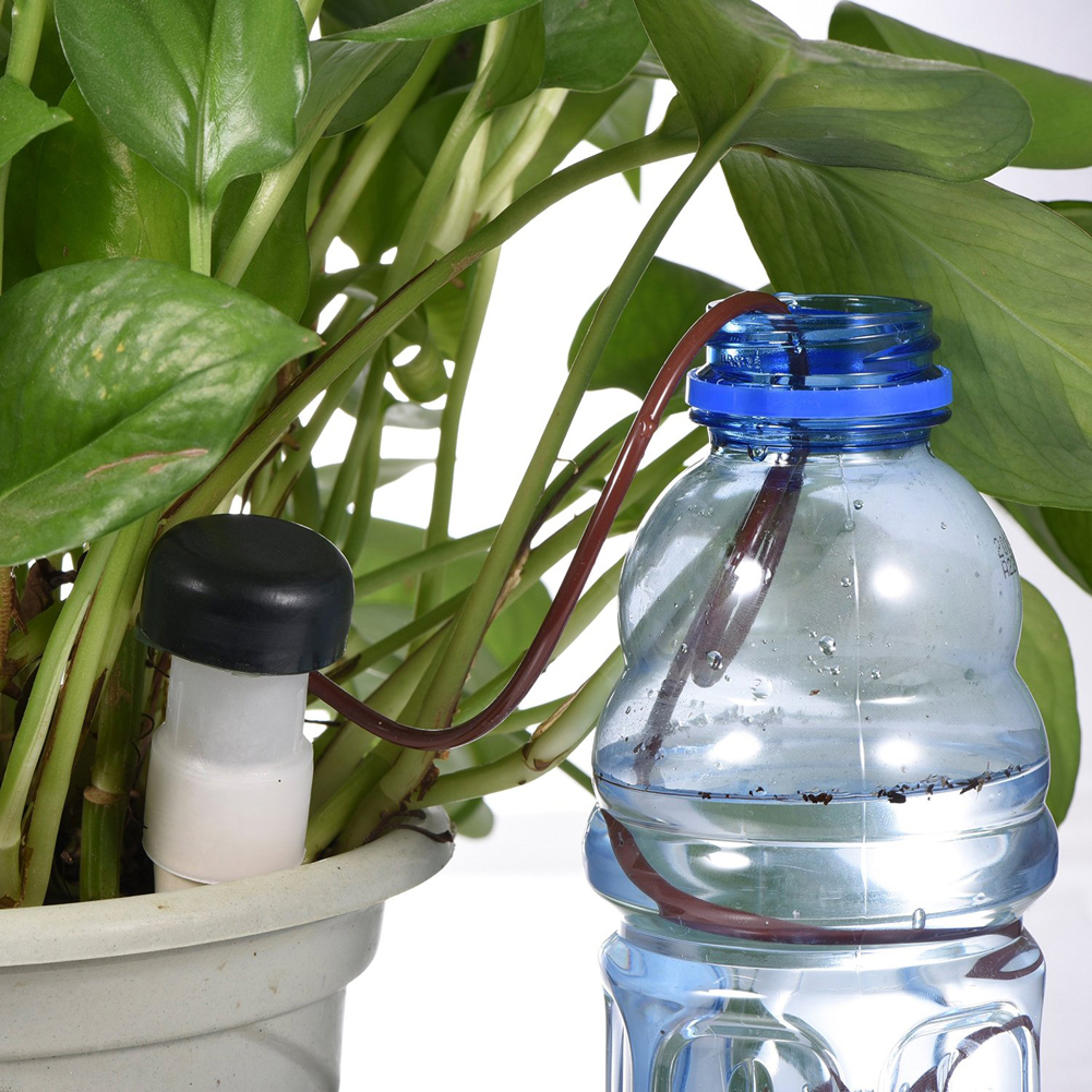 8-24Pcs Self-Watering Probes A - Urban Farming System recensione e prezzo