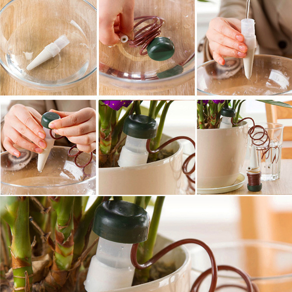 8-24Pcs Self-Watering Probes A - Urban Farming System recensione e prezzo