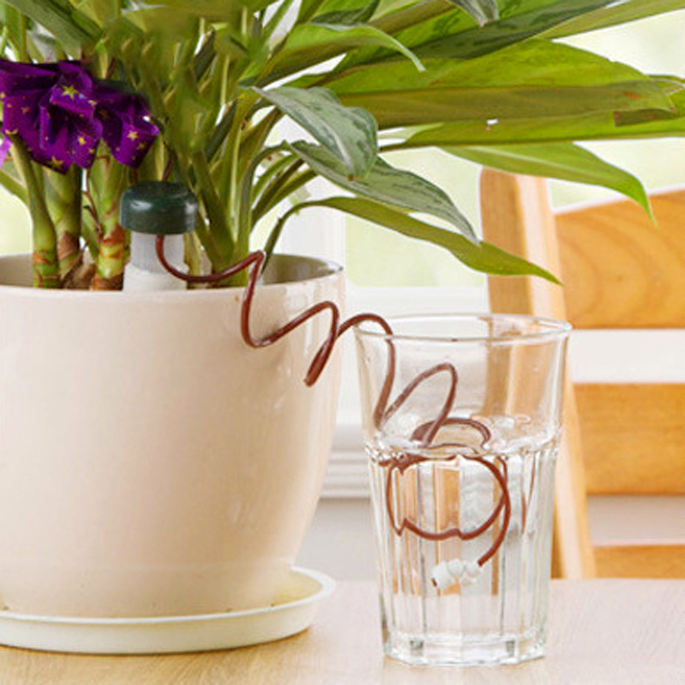 8-24Pcs Self-Watering Probes A - Urban Farming System recensione e prezzo