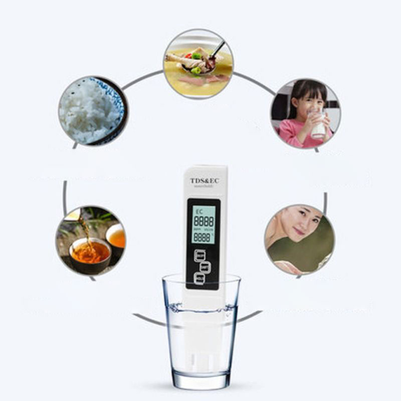 Water Quality Detection Pen Ho - Ec Meter Digital recensione e prezzo