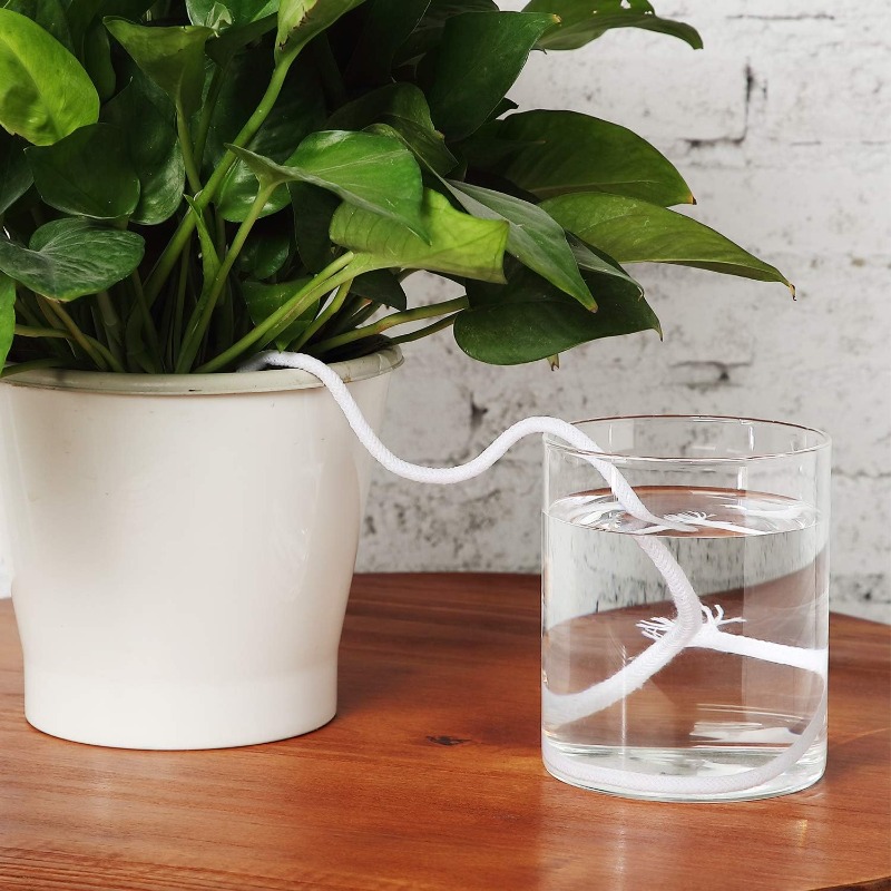 4/5/6mm Self-Watering Cotton R - Urban Farming System recensione e prezzo