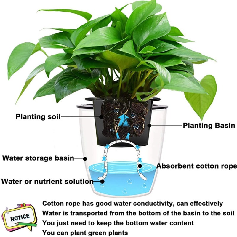 4/5/6mm Self-Watering Cotton R - Urban Farming System recensione e prezzo